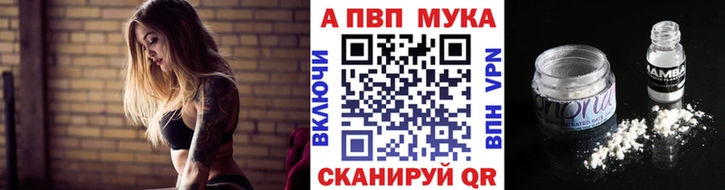 A-PVP СК КРИС  Грозный 